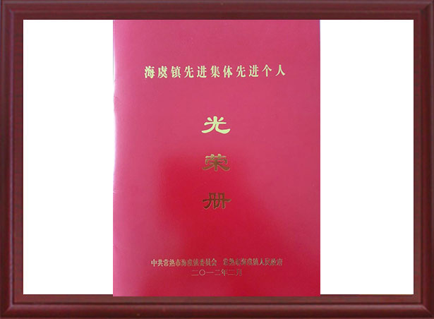 海虞鎮(zhèn)先進(jìn)集體先進(jìn)個(gè)人光榮冊(cè)